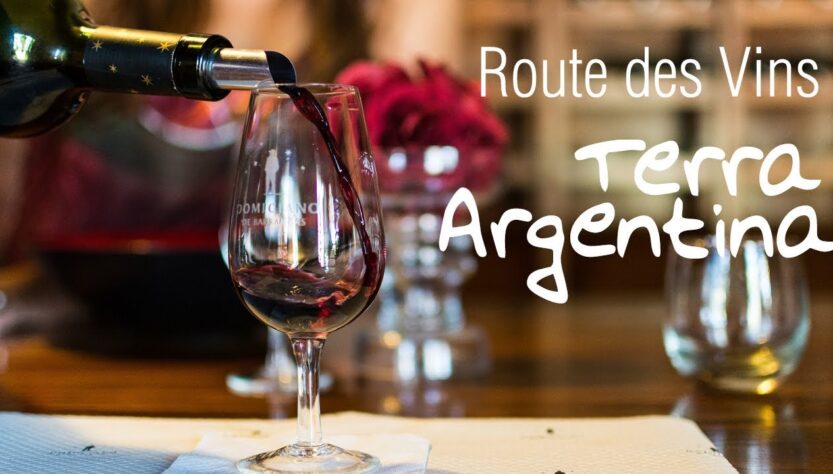 pourquoi les vins argentins sont ils considérés parmi les meilleurs ?